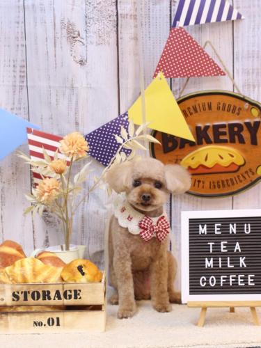 20240929そらくん